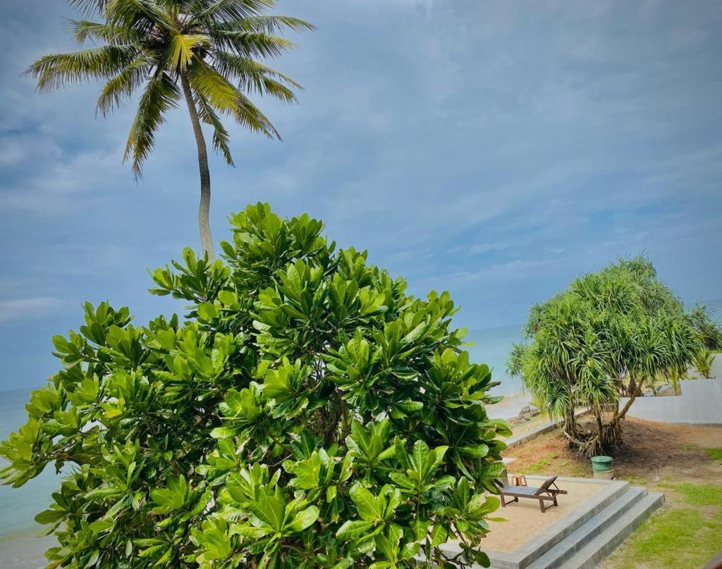 Sevenra Grand Beach Hotel أمبالانغودا المظهر الخارجي الصورة