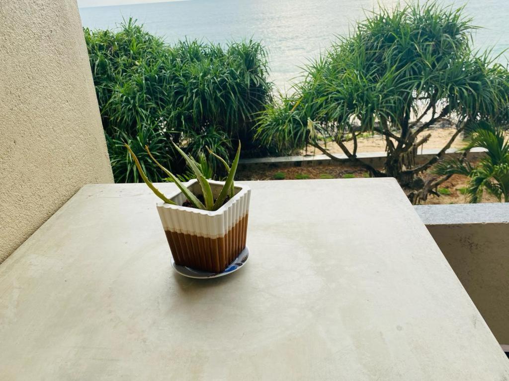 Sevenra Grand Beach Hotel أمبالانغودا المظهر الخارجي الصورة