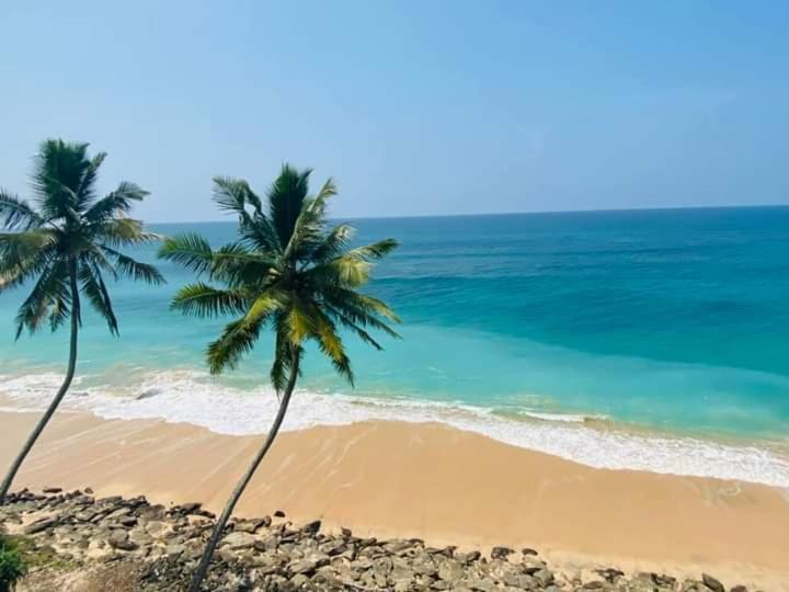 Sevenra Grand Beach Hotel أمبالانغودا المظهر الخارجي الصورة