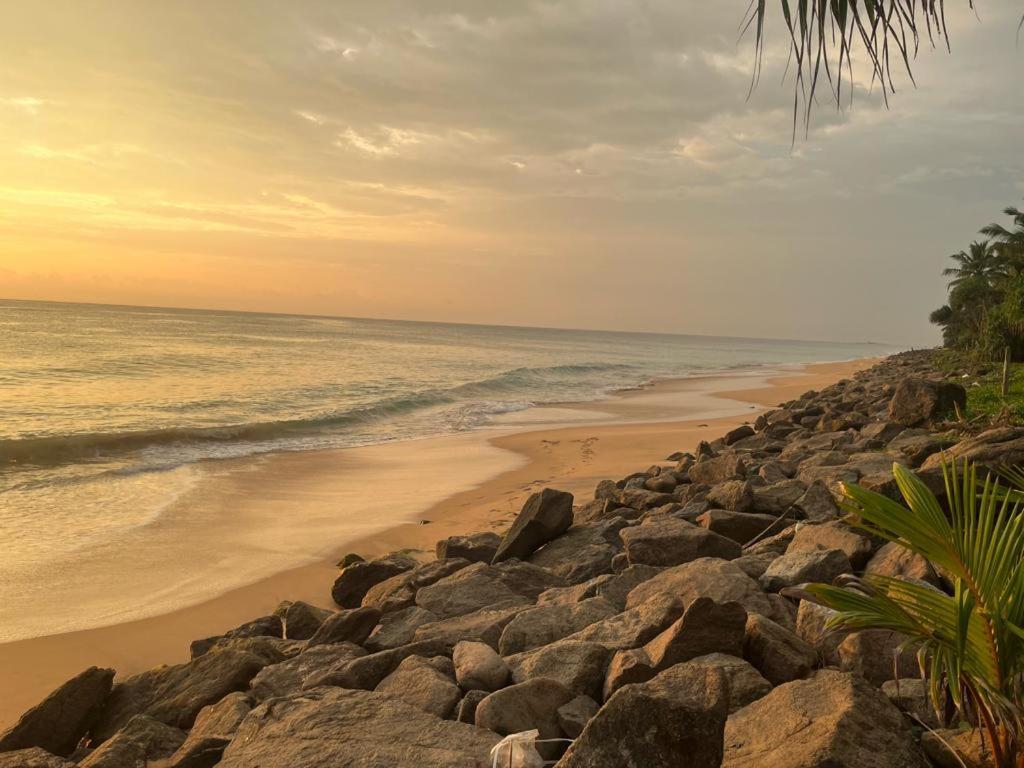 Sevenra Grand Beach Hotel أمبالانغودا المظهر الخارجي الصورة